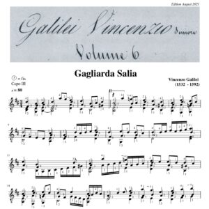 Vincenzo Galilei Gagliarda Salia