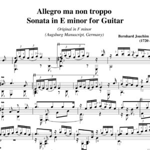 Hagen Sonata F minor Allegro ma non troppo