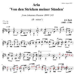 Bach Johannes Passion Aria Von den Stricken meiner Sünden BWV 245