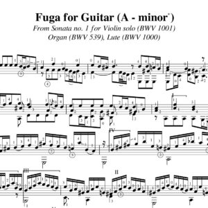 Bach Fuga Sonata 1 BWV 1001 viool orgel luit