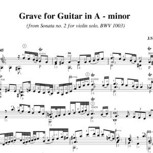 Bach Sonate no 2 BWV 1003 Grave